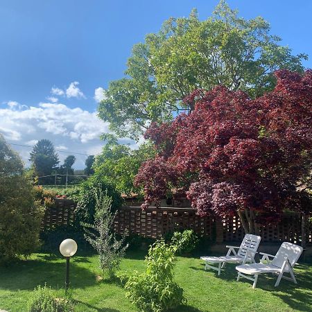 Bouganville Viverone Bagian luar foto