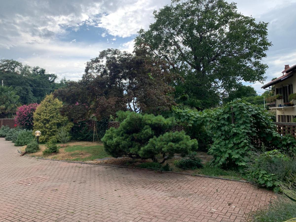 Bouganville Viverone Bagian luar foto