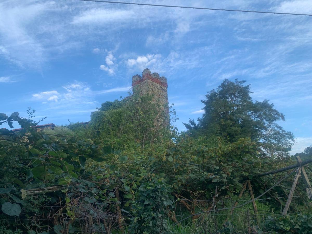 Bouganville Viverone Bagian luar foto