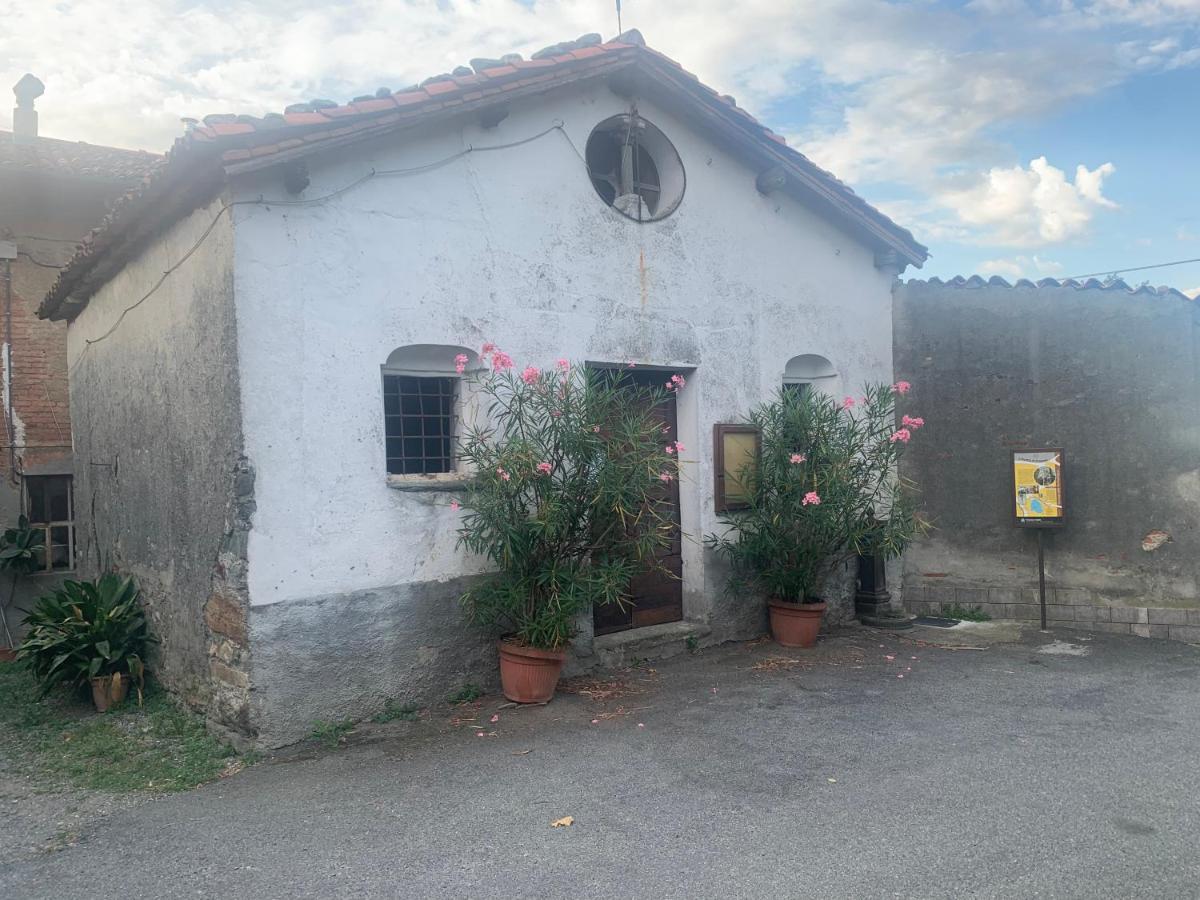 Bouganville Viverone Bagian luar foto