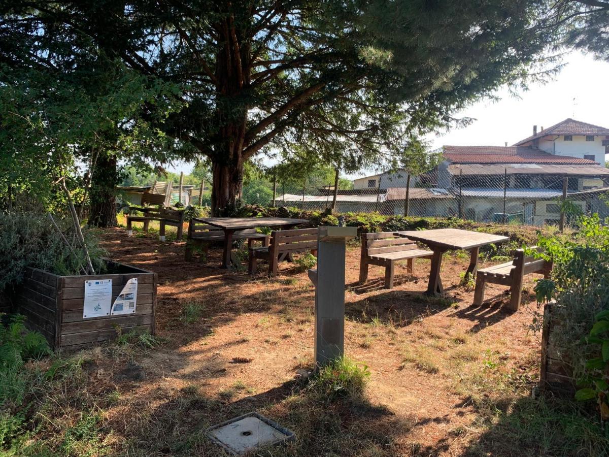 Bouganville Viverone Bagian luar foto