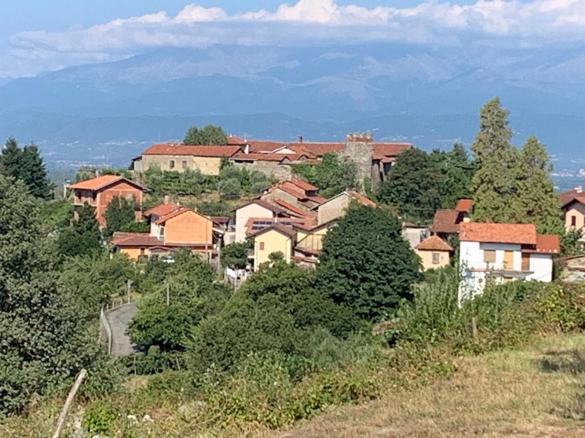 Bouganville Viverone Bagian luar foto
