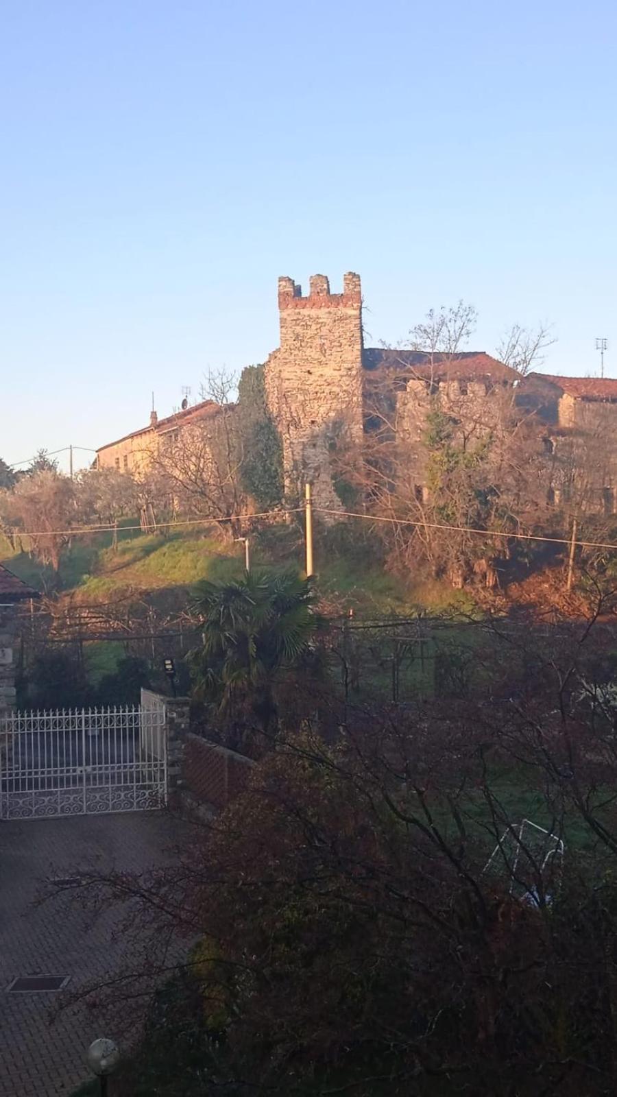 Bouganville Viverone Bagian luar foto